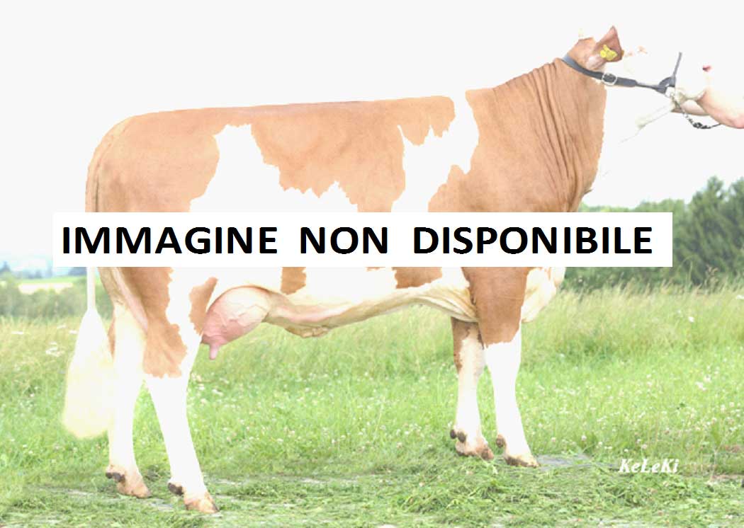 Nessuna foto principale